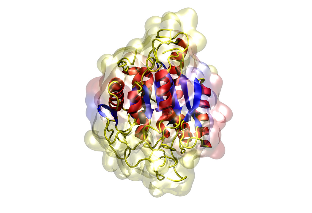 Glutaminyl cyclase
